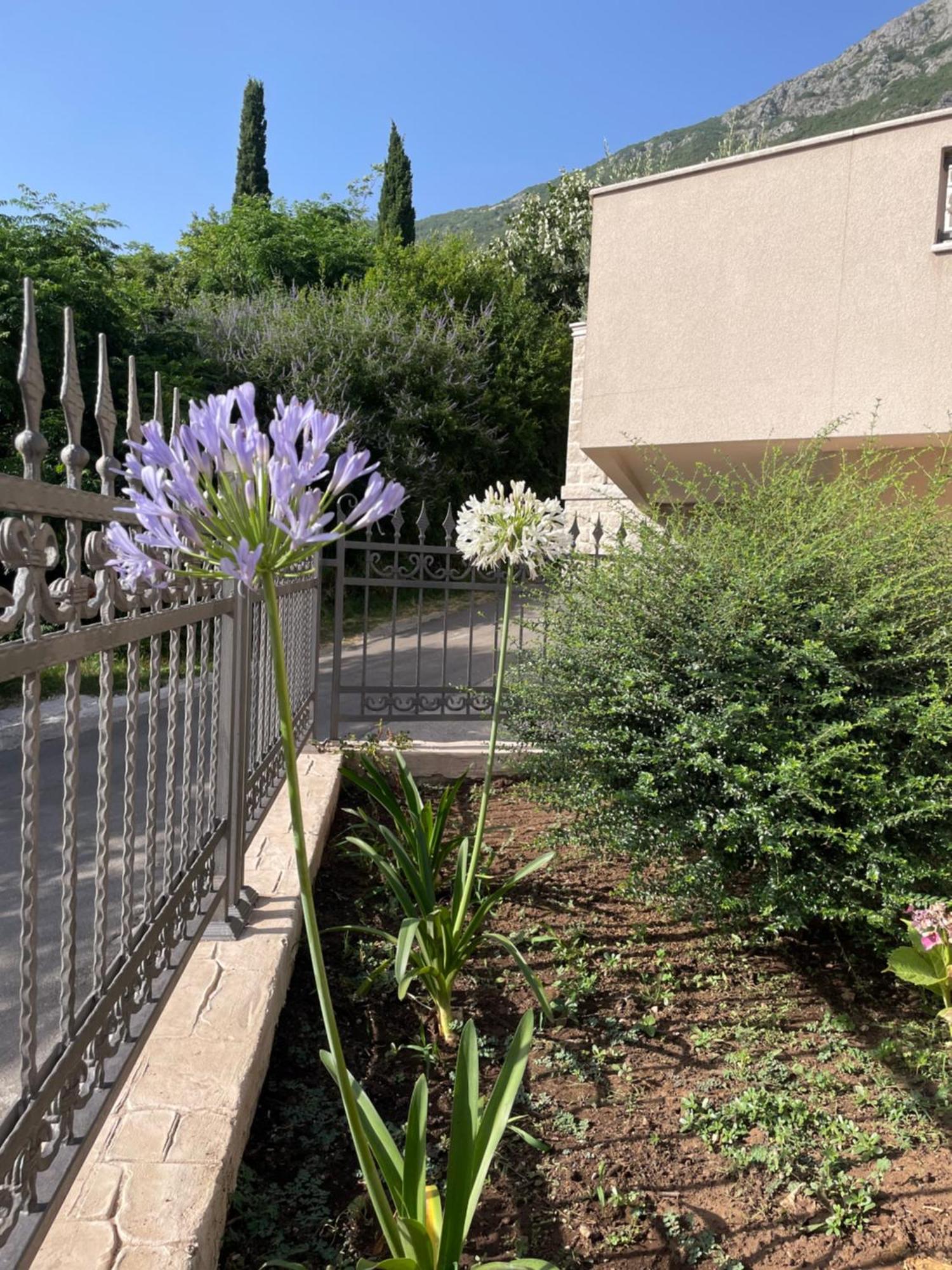 Villa Pul Risan Εξωτερικό φωτογραφία